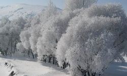 Zemheri dönemi başladı! Karakış kaç gün sürecek?