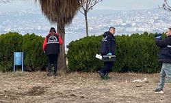 Denizde cansız beden bulundu
