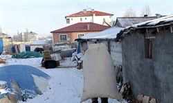 Dondurucu soğuklar yaşamı olumsuz etkiledi