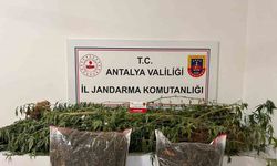 Narkotik operasyonlarında 188 kişi yakalandı