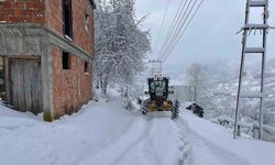 Olumsuz hava koşulları nedeniyle 168 mahalle yolu ulaşıma kapandı