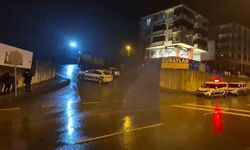 Polisten kaçan sürücü köprüden atladı