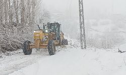 Şiddetli fırtına ve kar yağışı hayatı olumsuz etkiledi