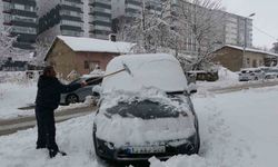 Yoğun kar yağışından köy yolları kapandı!