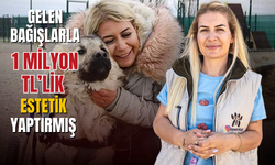 Köpek Velisi Buket Özgünlü bağış paralarıyla estetik yaptırmış!