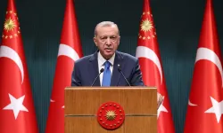 Cumhurbaşkanı Erdoğan, Francess Virginia Anderson’u kabul etti