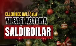 Sabahattin Zaim Üniversitesi bahçesindeki yılbaşı ağacı baltayla saldırıya uğradı!