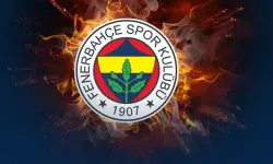 Fenerbahçe, Türkiye Kupası'na katılmayacak