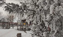 Ardahan’da dondurucu soğuklar: Termometreler eksi 22 dereceyi gösterdi