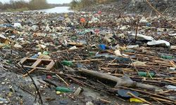 Büyük Menderes Nehri, çevre felaketiyle karşı karşıya