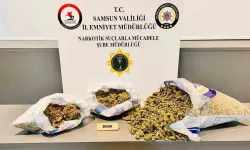 Samsun'da 6 kiloya yakın uyarıcı madde ele geçirildi