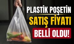 Plastik poşetin satış fiyatı belli oldu!