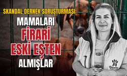Skandal dernek soruşturması: Mamalar eski eşin şirketinden temin edilmiş