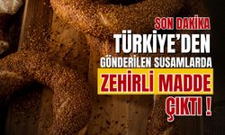 Norveç'e ihraç edilen susamlarda salmonella tespit edildi