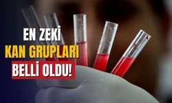 En zeki kan grupları belli oldu!