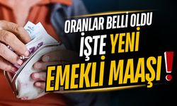 Emekli ve memur maaşı zammı ne kadar olacak?