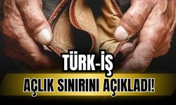 Türk-İş aralık ayı raporunu açıkladı