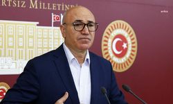 CHP’li vekil Mahmut Tanal meclis gündemine taşıdı! Şanlıurfa’da şap hastalığına anguslar mı sebep oldu?