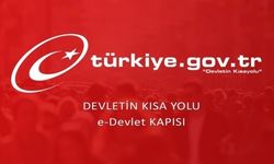 e-Devlet Kapısı'nda bu yıl yapılan işlem sayısı 4 milyarı geçti