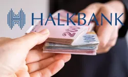 Halkbank 2025 esnaf kredisi şartlar ve detaylar