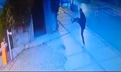 Kediye tekme atarak yaralayan saldırganın cezası belirlendi