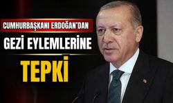 Cumhurbaşkanı Erdoğan: "Bu gençlik köksüz ve şuursuz değildir"