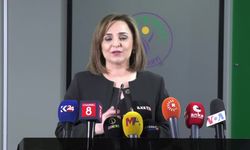 Ayşegül Doğan: Öcalan, barış ve demokratik çözüm çağrısı yaptı