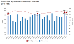 TÜİK, dış ticaret endekslerini açıkladı