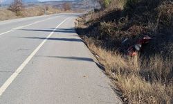 Motosiklet virajı alamadı devrildi, sürücü yaralandı