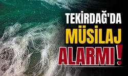 Tekirdağ'da müsilaj denetimleri başladı!