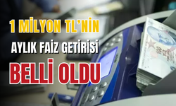 1 milyon liranın aylık faiz getirisi ne kadar?