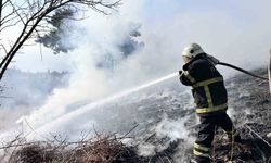 Bahçe yangınına itfaiyeden müdahale