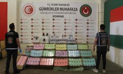 Gümrüklerde kaçakçılıkla mücadele