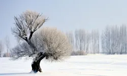 Zemheri ayı nedir, ne zaman sona eriyor?