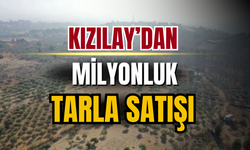 Kızılay'dan zeytinlik tarla satışı için ikinci adım!