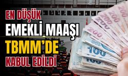 En düşük emekli maaşı TBMM'de kabul edildi