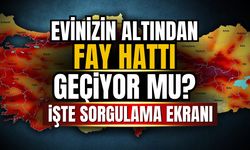 Evinizin altından fay hattı geçiyor mu? İşte adım adım sorgulama rehberi