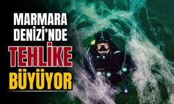 Marmara Denizi'nde tehlike büyümeye devam ediyor!