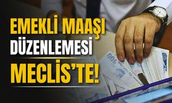 En düşük emekli maaşına yönelik kanun teklifi Meclis'e sunuldu