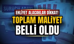 2025 yılında ehliyet almanın toplam maliyeti belli oldu