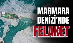 Marmara Denizi'ndeki felaketin boyutu büyüyor!