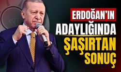 Erdoğan'ın adaylığında dikkat çeken anket sonucu!