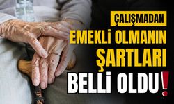 Çalışmadan emekli olmak mümkün! İşte şartlar...