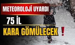 Meteoroloji uyardı: Kar yağışı şiddetlenecek!