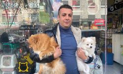 Çalınan köpek bulundu! Sahibine teslim edildi
