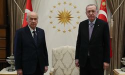 Erdoğan ve Bahçeli hakkında paylaşım yapan şahıs gözaltına alındı