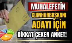 Muhalefetin cumhurbaşkanı adayı için dikkat çeken anket!