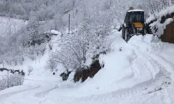 O bölgede 1180 yerleşim yeri ulaşıma kapandı