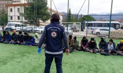 Amasya'da kaçak göçmen taşıyan tır şoförü tutuklandı