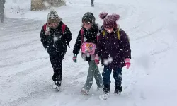 19 Şubat Çarşamba Tokat'ta okullar tatil mi?